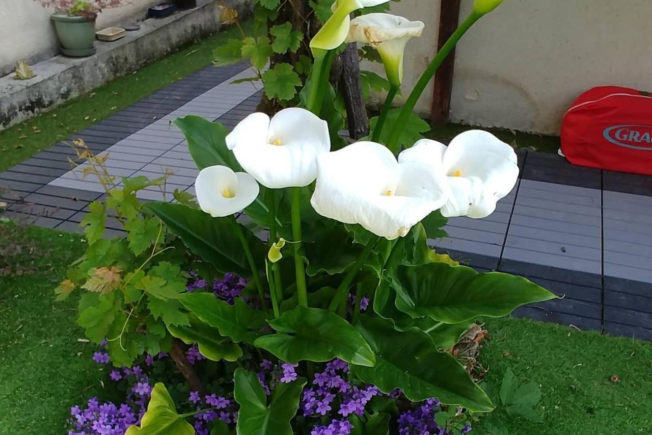 Great Family House, 80 M To The Sea, In Normandie Villa Hermanville-sur-Mer Esterno foto